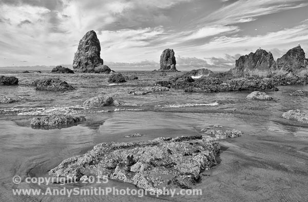 Cannon Beach at Low Tide